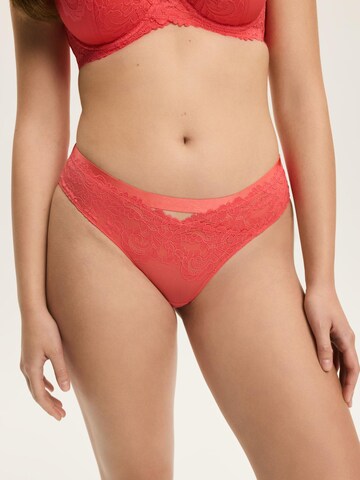 ESOTIQ - Panti 'Slip Lynn, feine Spitze, ornamentales Muster, transparent' en naranja