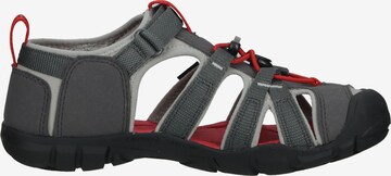 KEEN Sandalen 'Seacamp II' in Grijs