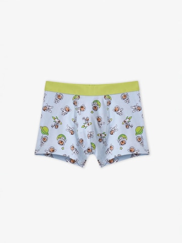 Penti Alsónadrág 'PENTI Jungen Boxershorts Capybaras Space' - vegyes színek
