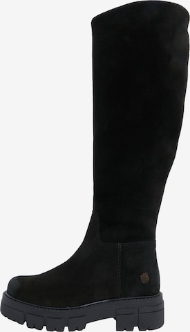 Apple of Eden Stiefel 'GIGI' in Schwarz: Vorderseite