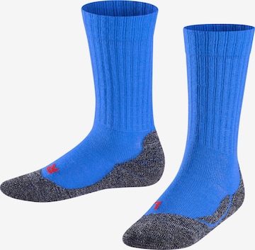 FALKE Športové ponožky - Modrá: predná strana