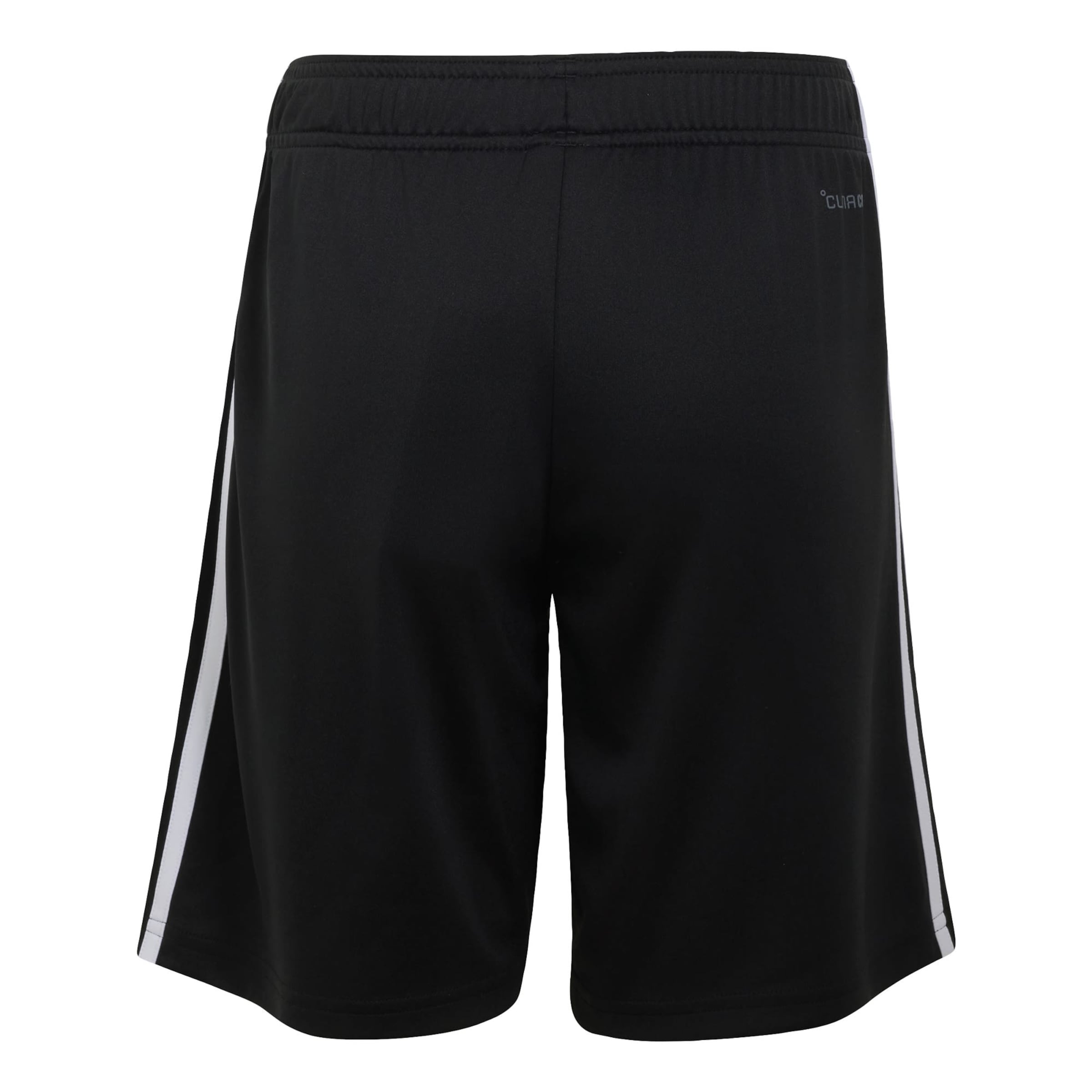 ADIDAS PERFORMANCE Regular Sportshorts 'Deutschland 26' in Schwarz
