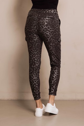 Zhrill Skinny Pants in Mixed colors