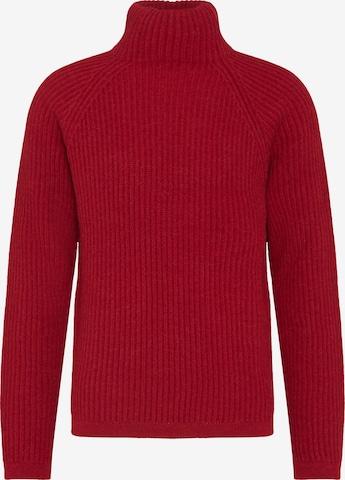 DRYKORN Sweater 'Arvid' in Red: front