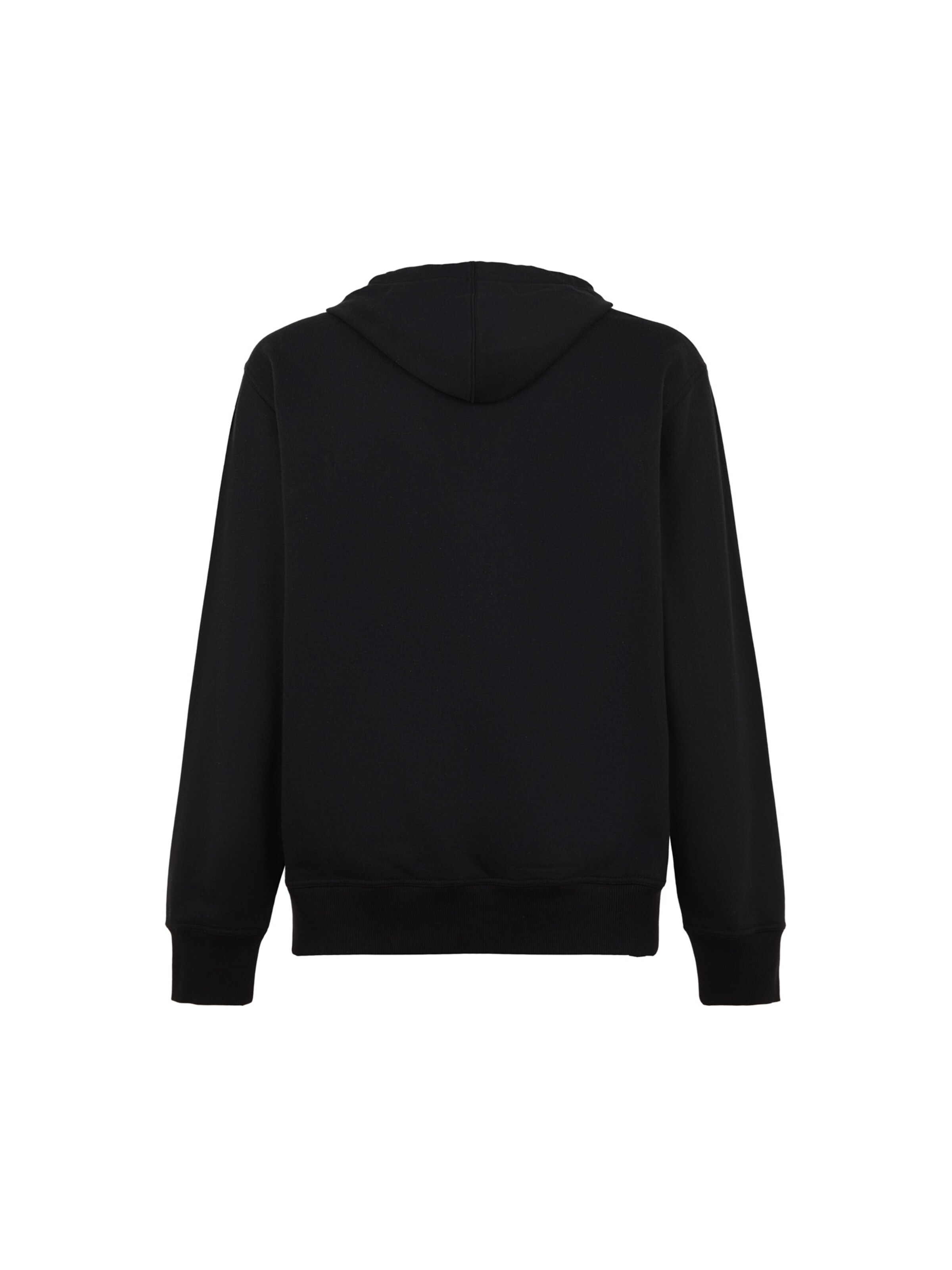 DICKIES - Sweatshirt 'Williston' em preto