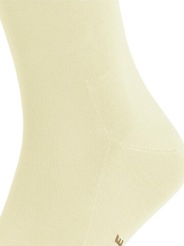 FALKE Socken 'Tiago'‌‌‌‌‌‌ in Gelb: Vorderseite
