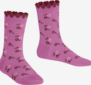 FALKE Socks 'Ditsy Flowers' in Pink: front