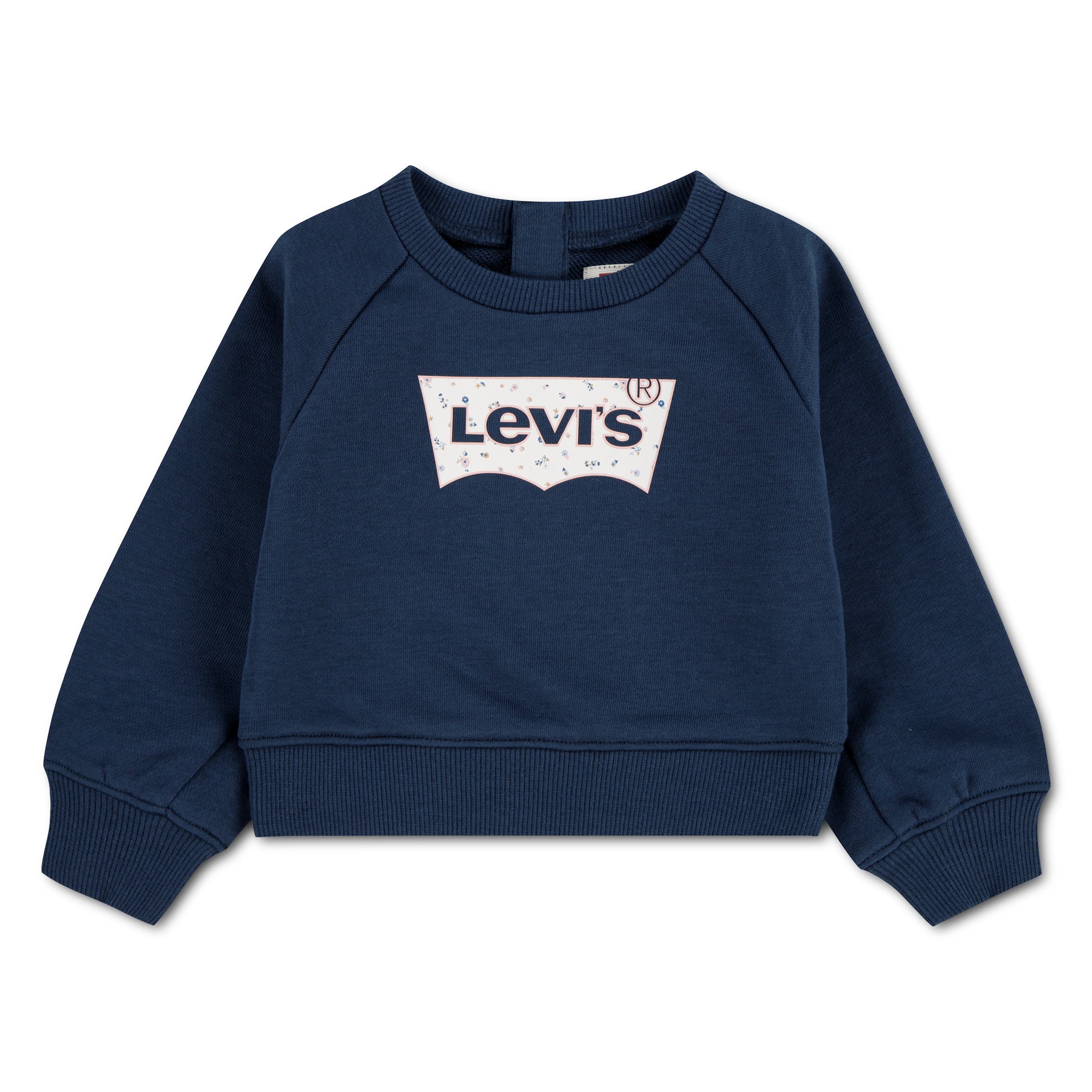 Levi's Kids Sweatshirt 'FLORAL BATWING' in Blue: front