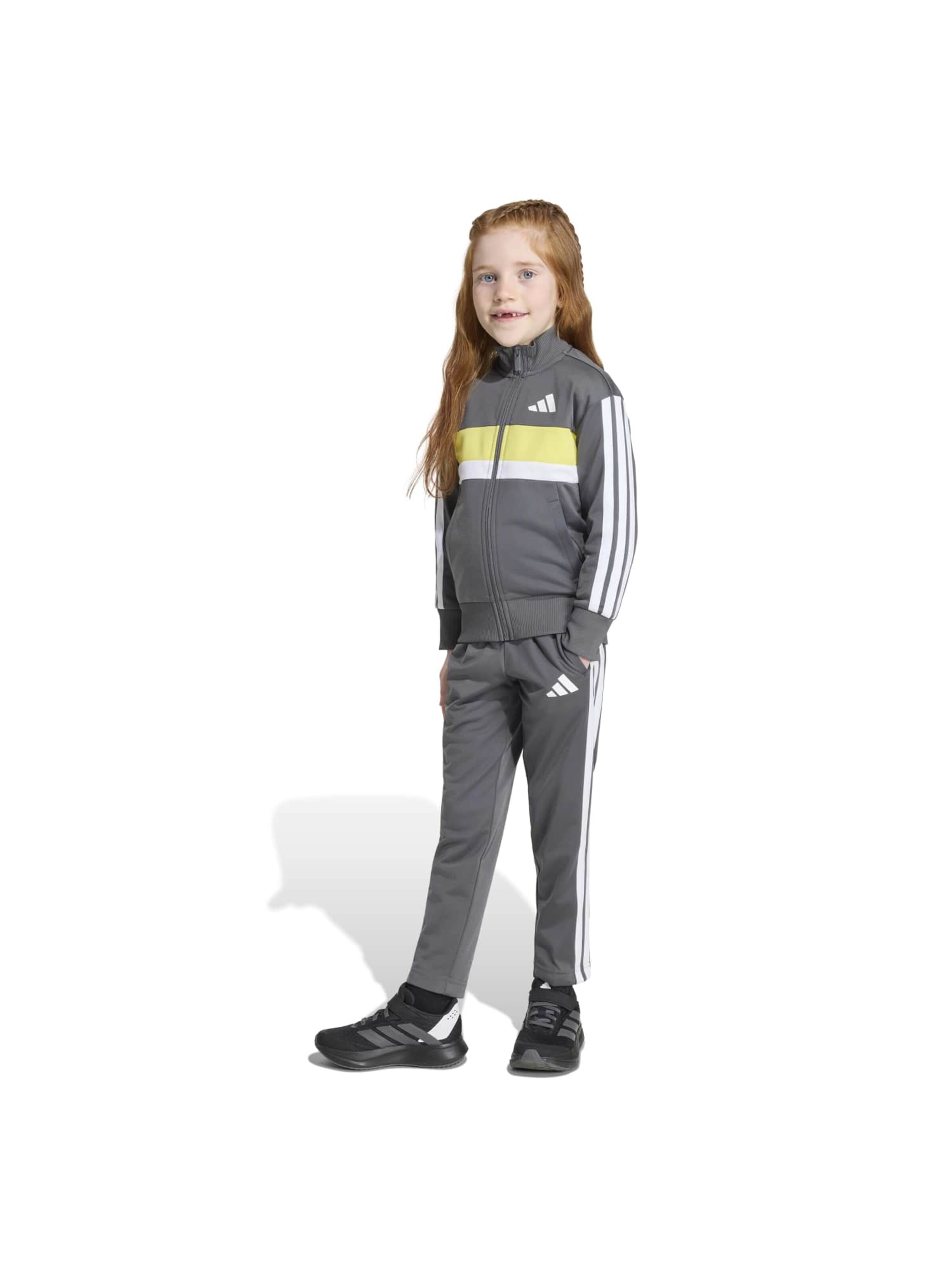 ADIDAS SPORTSWEAR Тренировочный костюм 'Seasonal Essentials Tiberio' в Серый: спереди