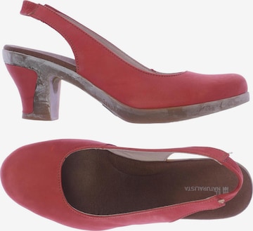 EL NATURALISTA Sandals & High-Heeled Sandals in 41 in Red: front