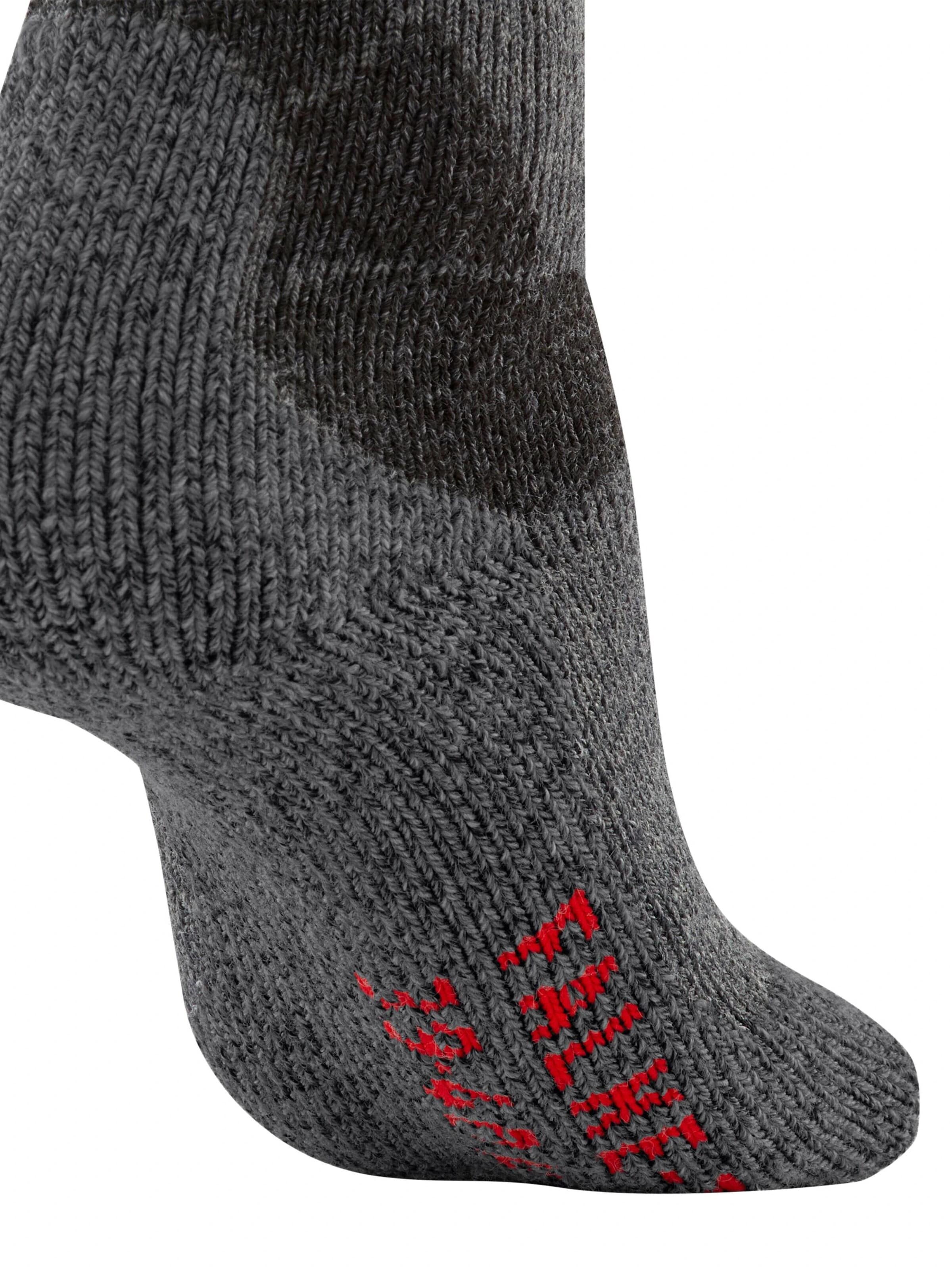 FALKE Athletic Socks 'TK-X Expedition' in Grey