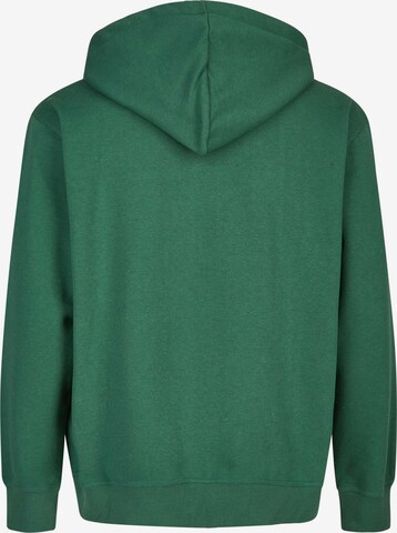 Cleptomanicx Sweatshirt 'Smile Gull' in Green