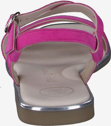 Paul Green Strap Sandals in Pink