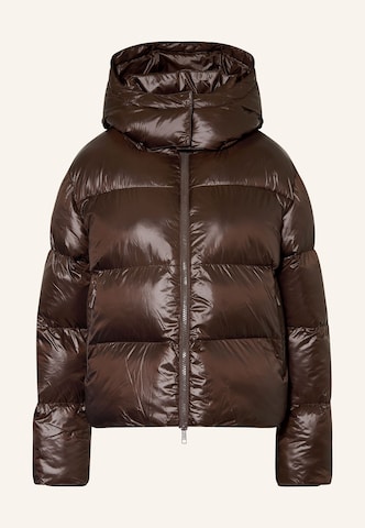 darling harbour Pufferjacke in Braun: Vorderseite