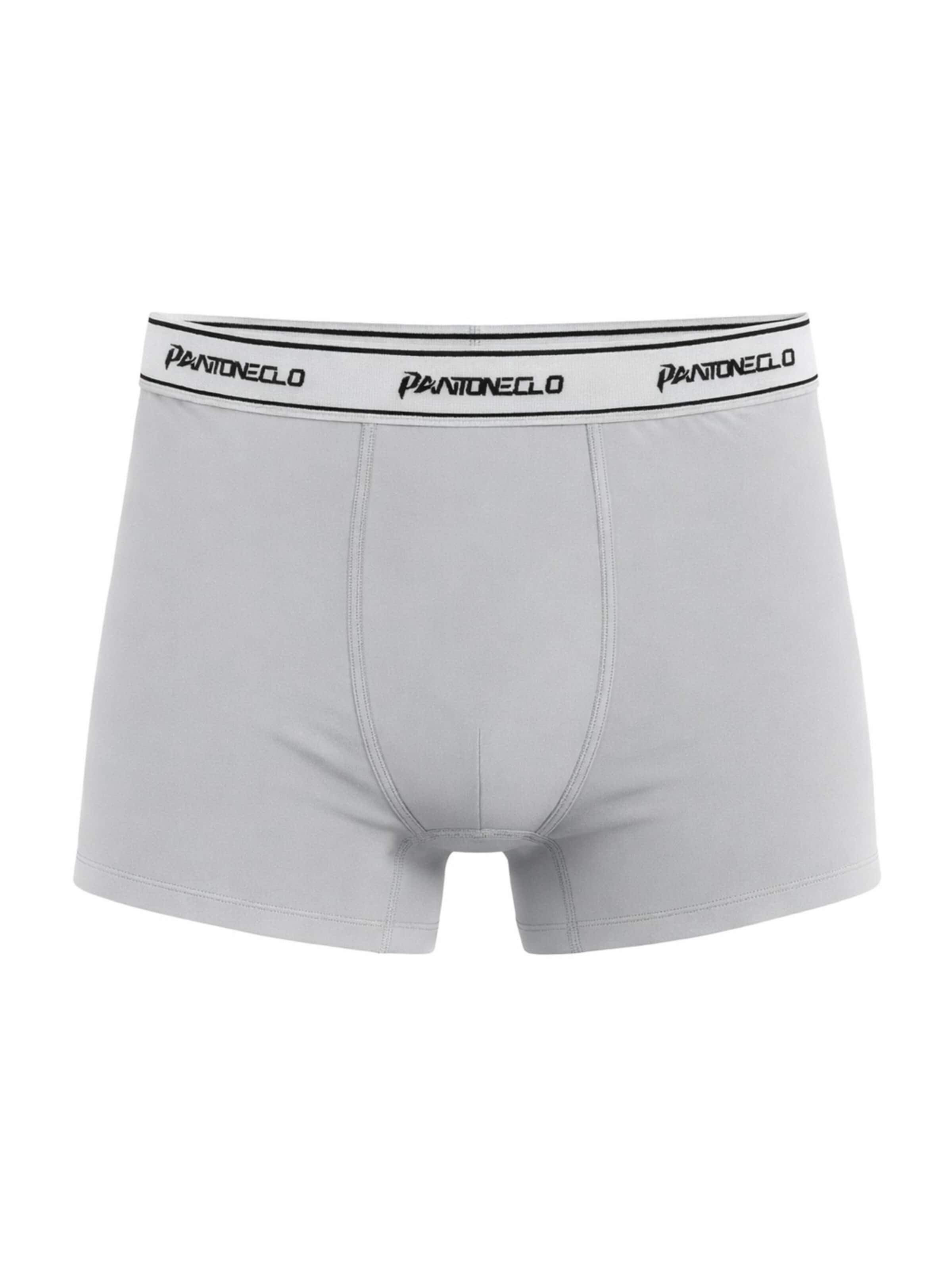 PANTONECLO Boxer shorts 'Pantoneclo Men’s Boxer Underwear' in Grey: front