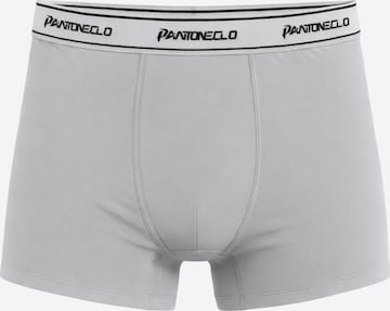 PANTONECLO Boxer shorts 'Pantoneclo Men’s Boxer Underwear' in Grey: front