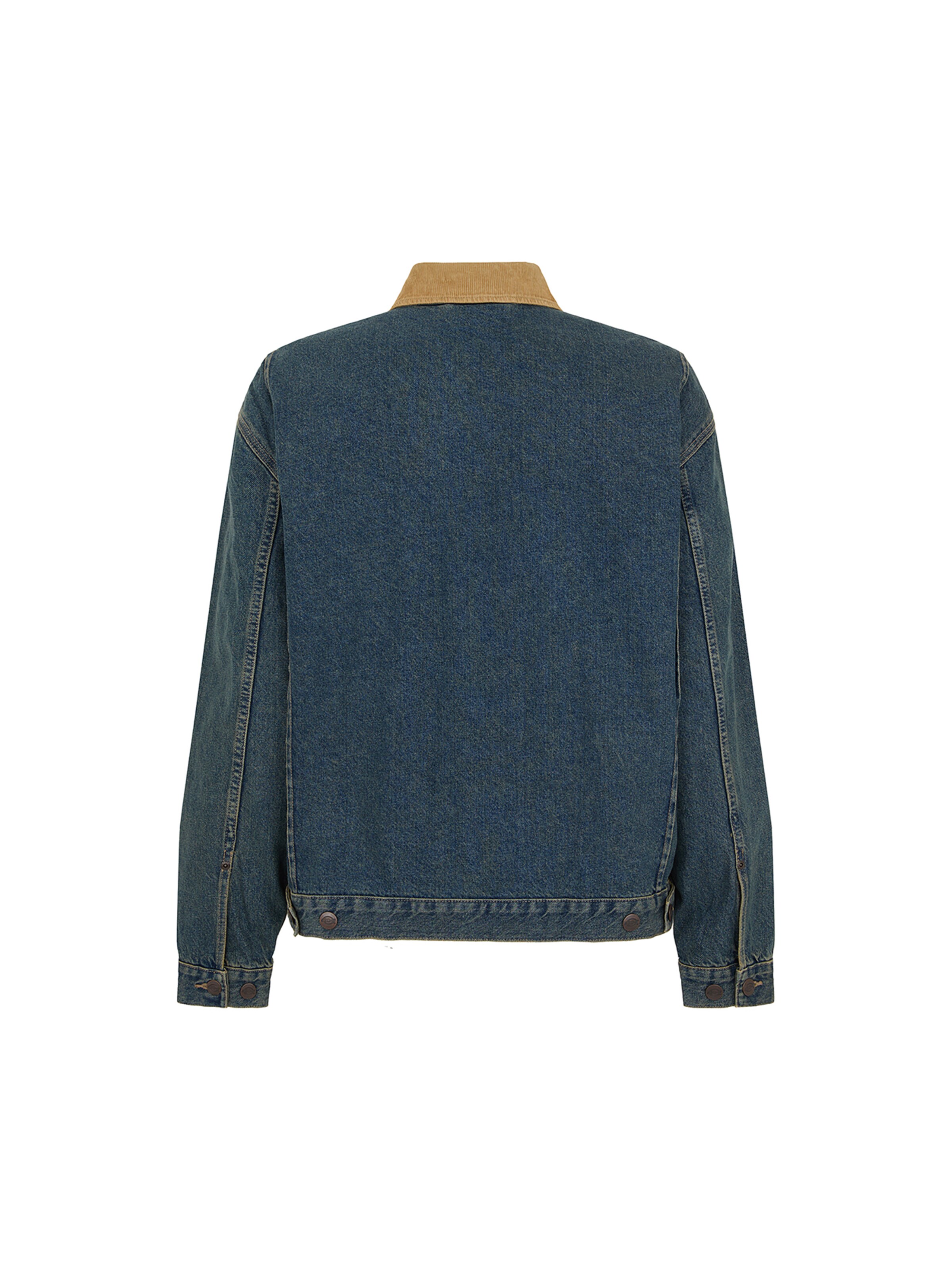 Geacă de primăvară-toamnă 'DENIM PAINTER JACKET' de la DICKIES pe albastru