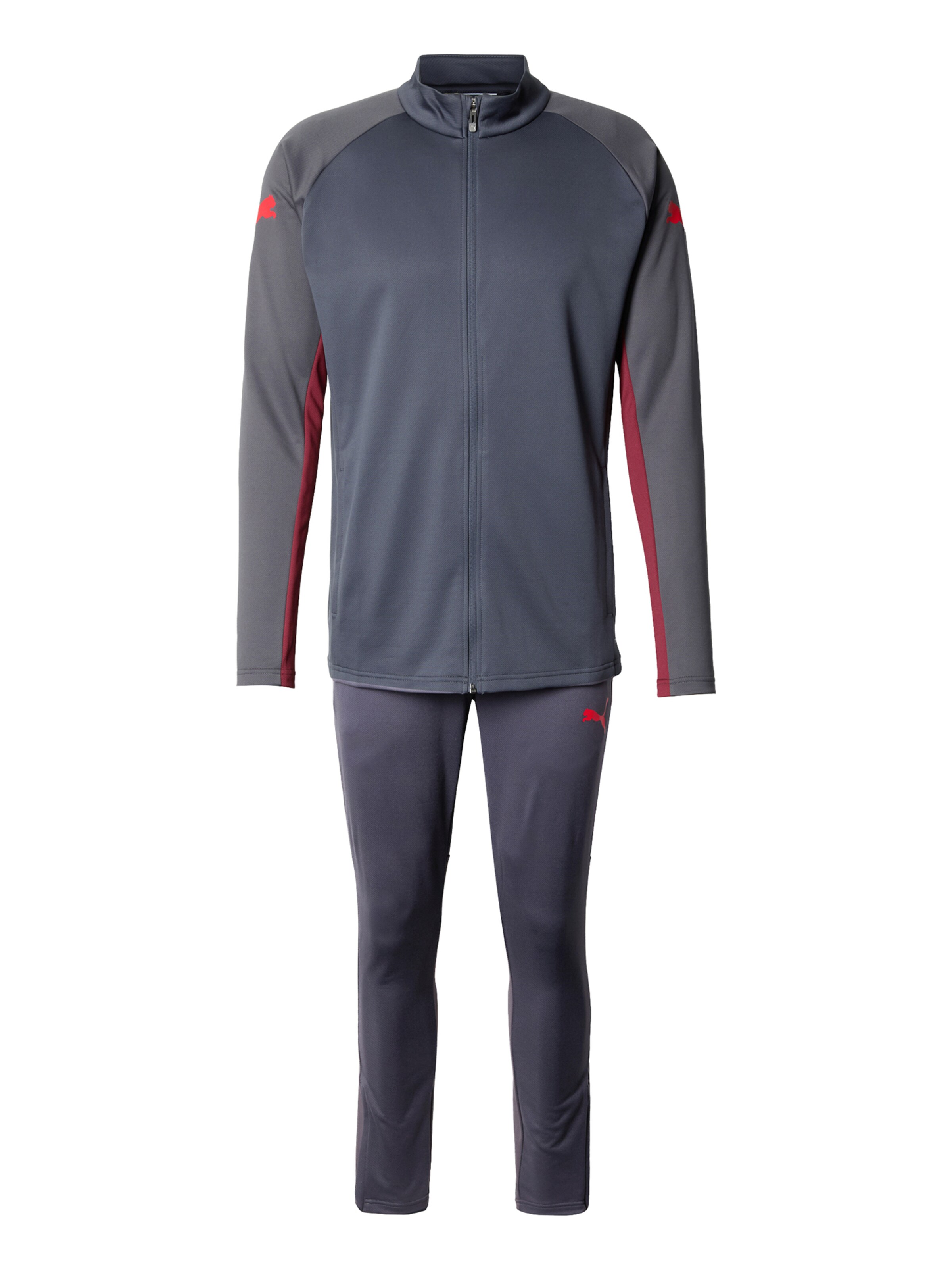 PUMA Trainingsanzug 'IndividualLIGA' in Grau: Vorderseite