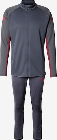pilka PUMA Treniruočių kostiumas 'IndividualLIGA': priekis