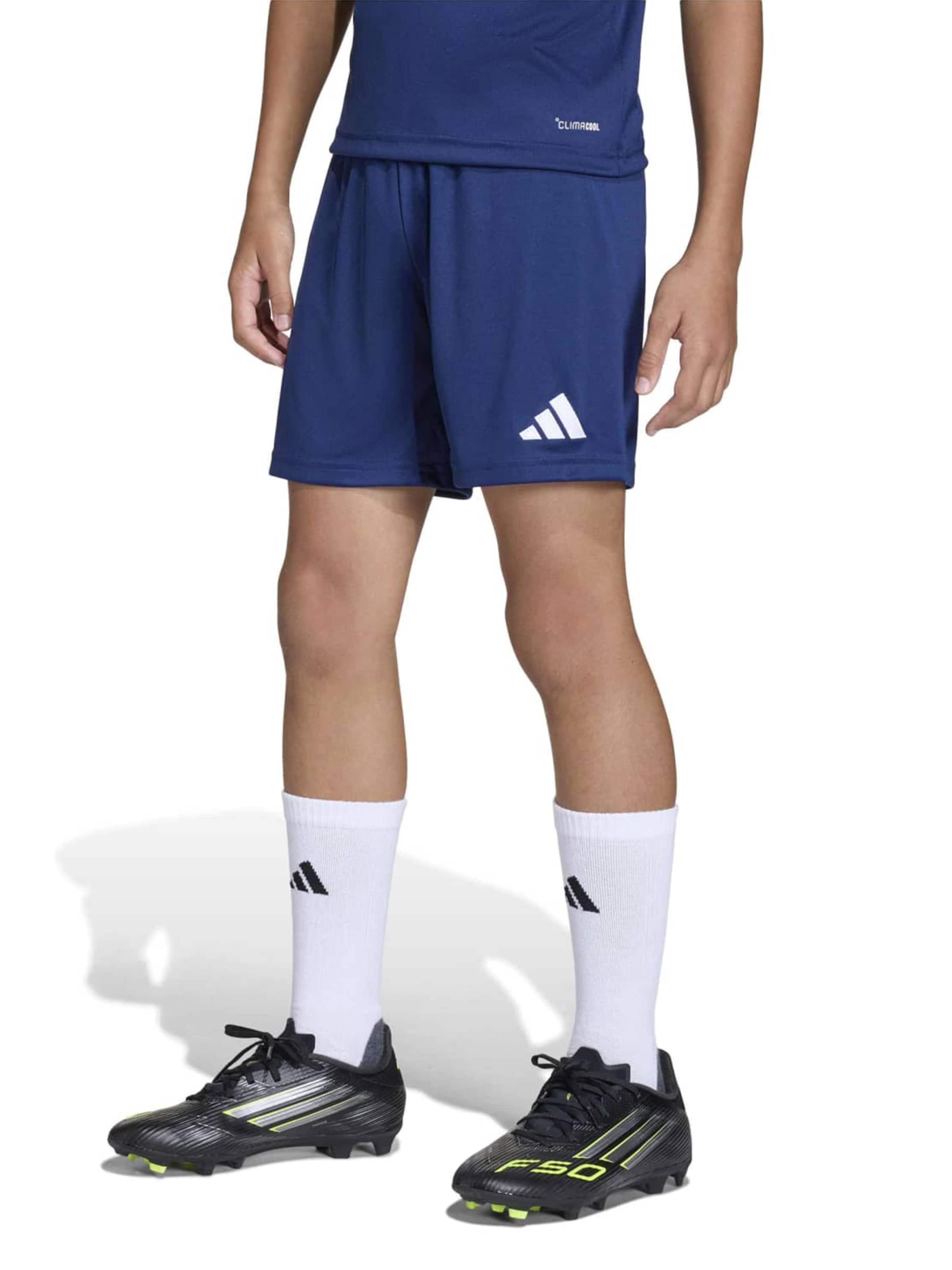 ADIDAS PERFORMANCE Regularen Športne hlače 'ENT26' | modra barva: sprednja stran