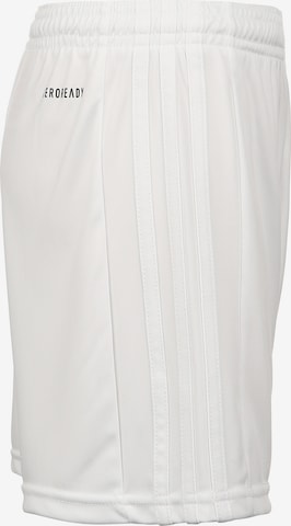 ADIDAS PERFORMANCE Regular Shorts 'Squadra 21' in Weiß