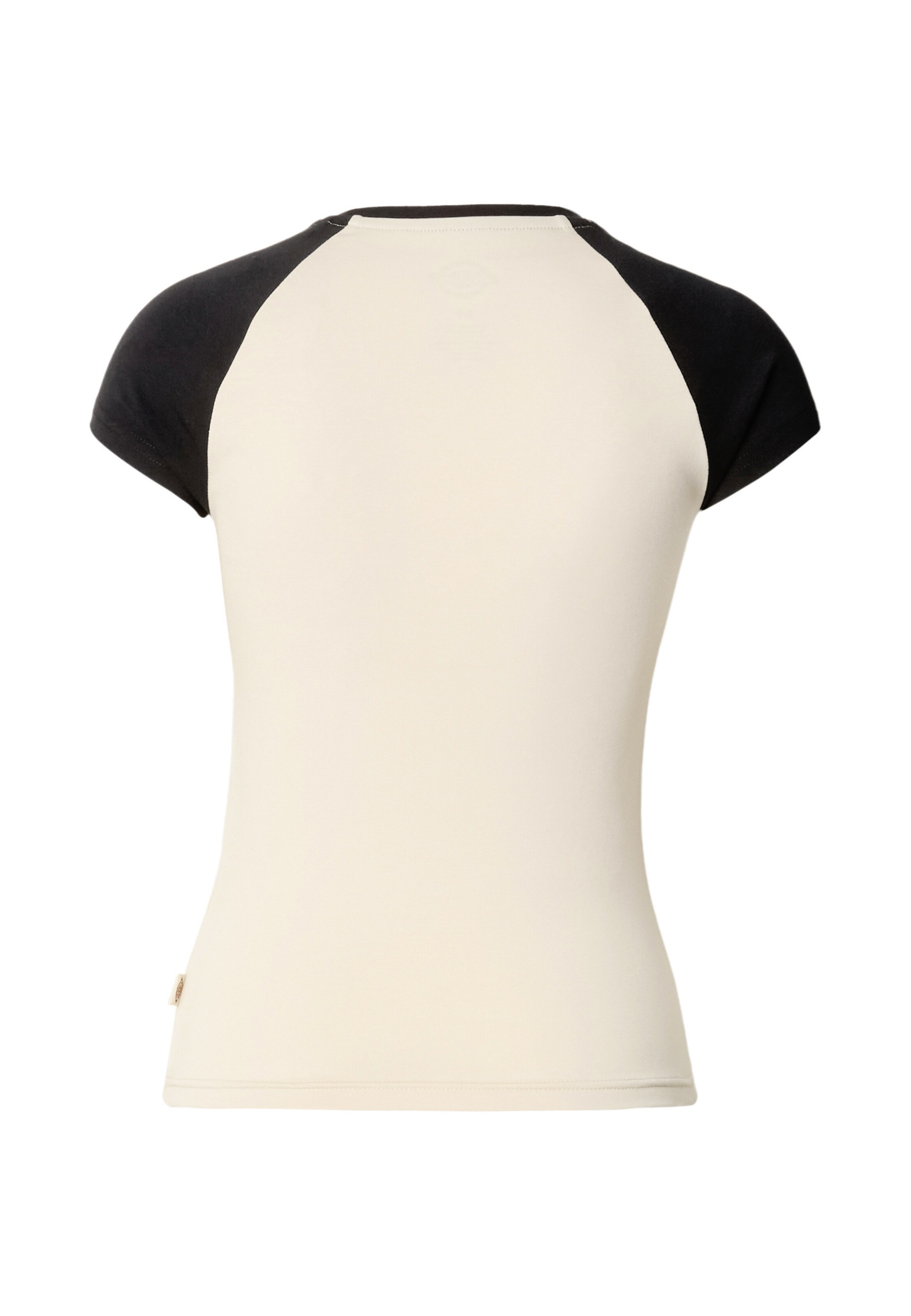 Maglietta di DICKIES in beige