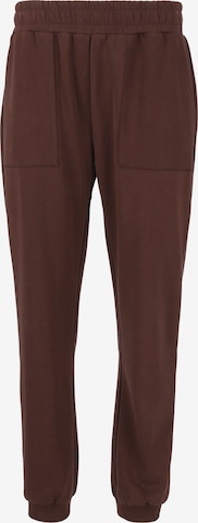 Athlecia Sporthose 'Elaina' in Braun: Vorderseite