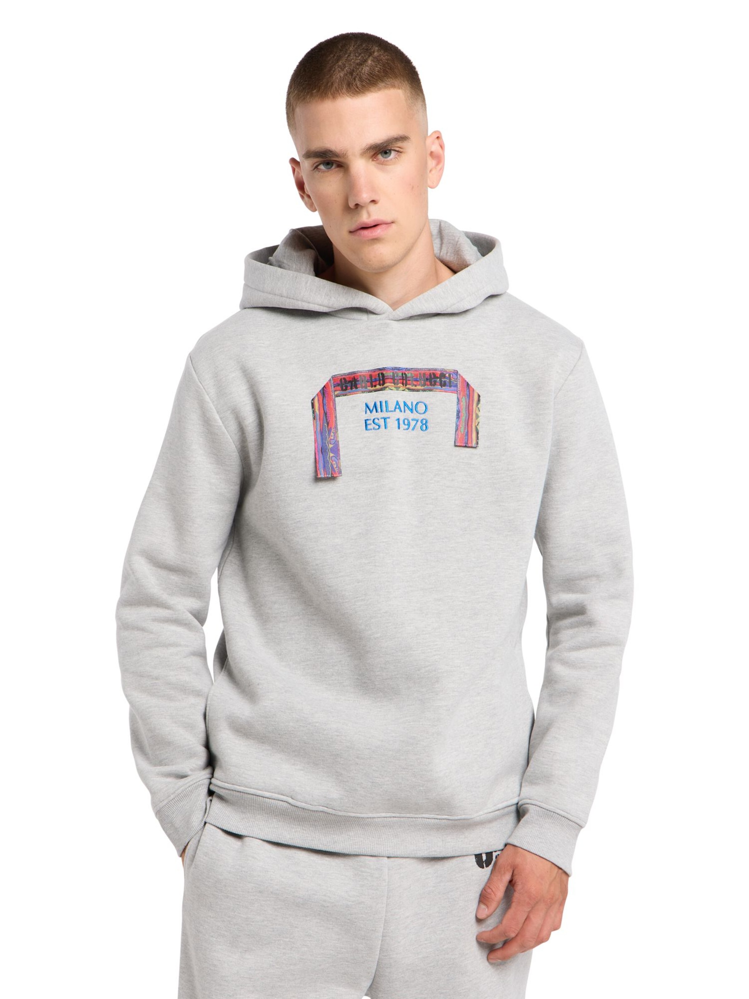 Carlo Colucci Sweatvest 'Fabbri' in Grijs: voorkant