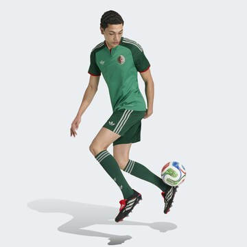 ADIDAS PERFORMANCE - regular Pantalón deportivo 'Algeria 26 Away' en verde