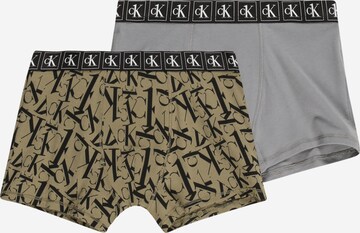 Calvin Klein Underwear Underpants in Grey: front