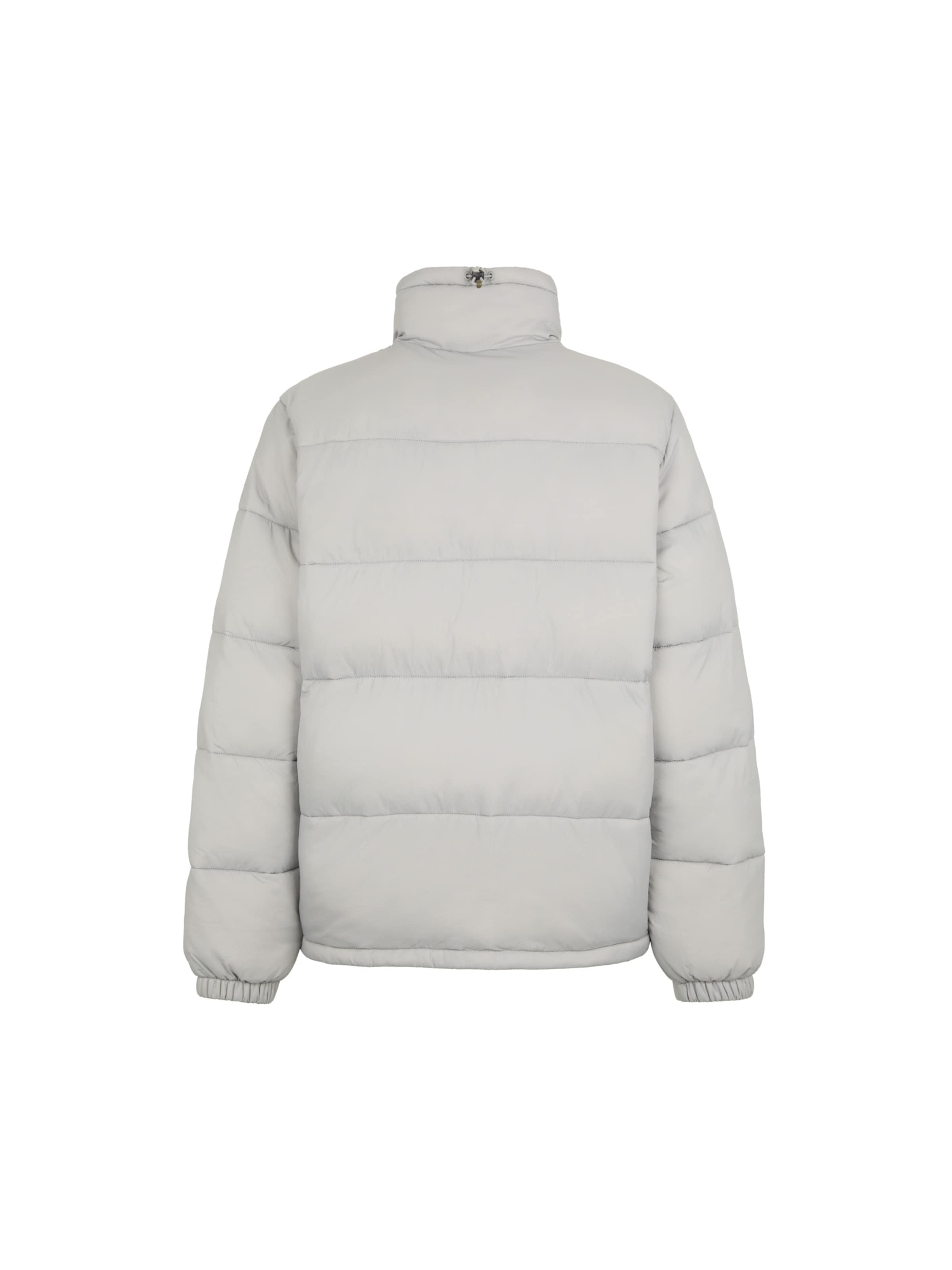 Giacca invernale 'Waldenburg' di DICKIES in grigio