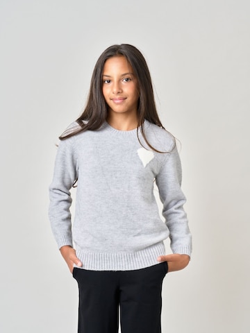 Pull-over Deeluxe en gris