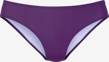 s.Oliver Bikini Bottoms in Purple: front