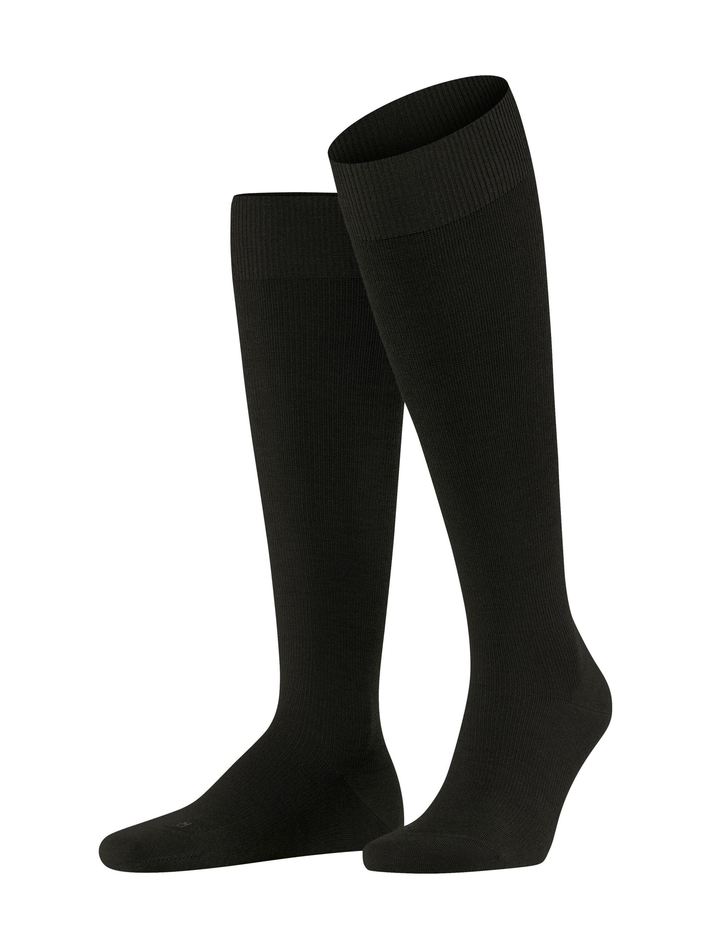 FALKE Knee High Socks 'Energizing Wool' in Brown