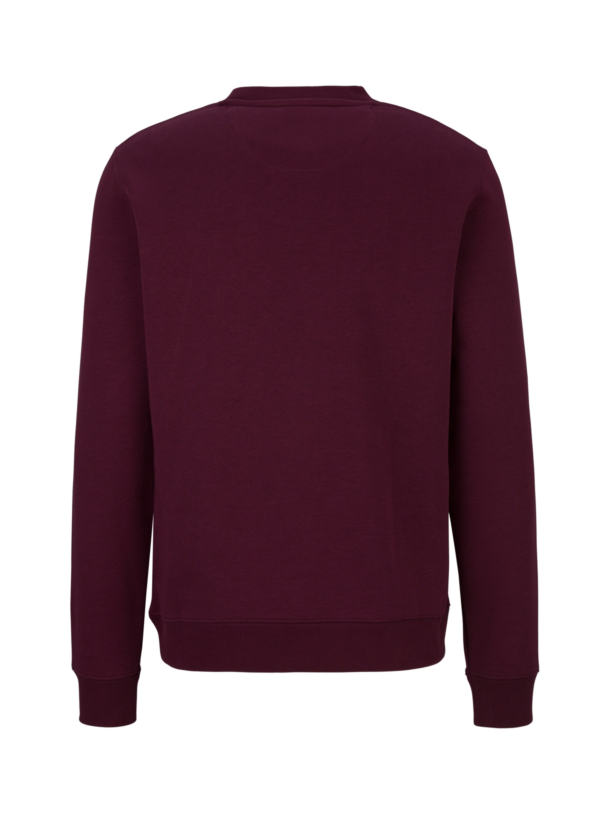 19V69 ITALIA Sweatshirt ' NICO DS ' in Red: back