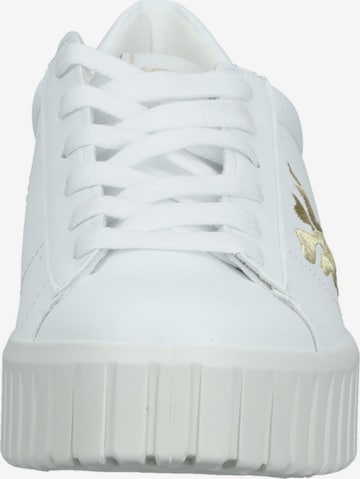 IGI&CO Sneakers in White