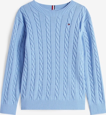TOMMY HILFIGER Свитер в Синий: спереди