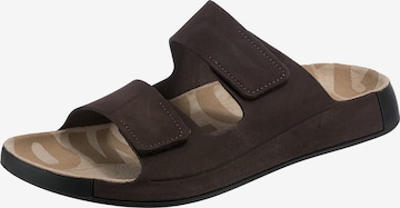 ECCO Mules in Brown: front