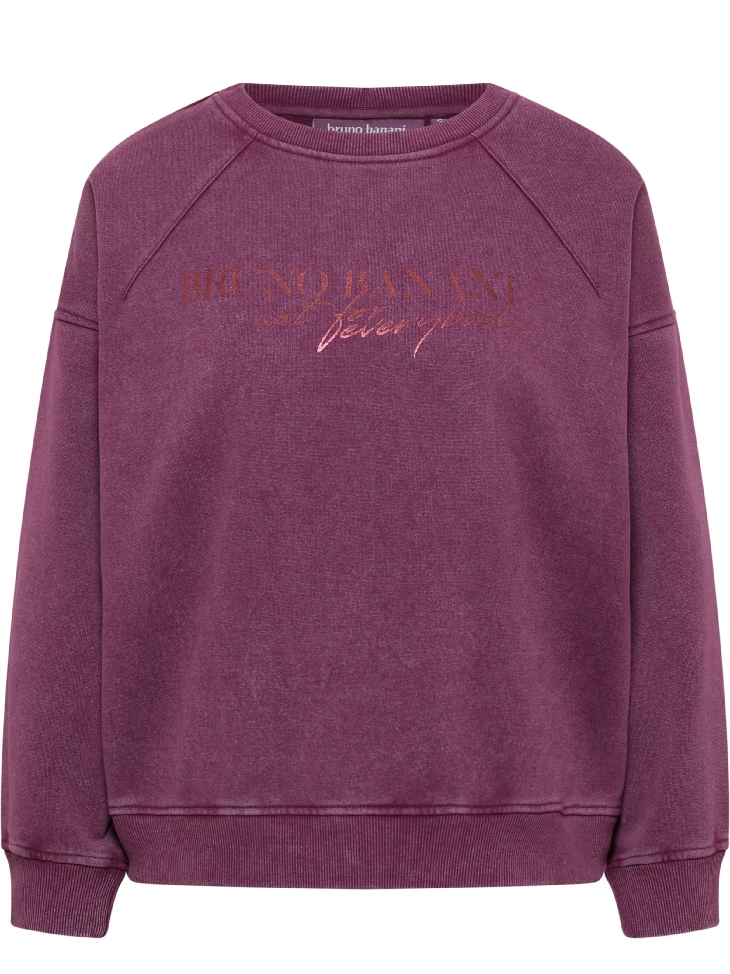 Sweat-shirt 'CARMICHAEL' Bruno Banani en violet : devant