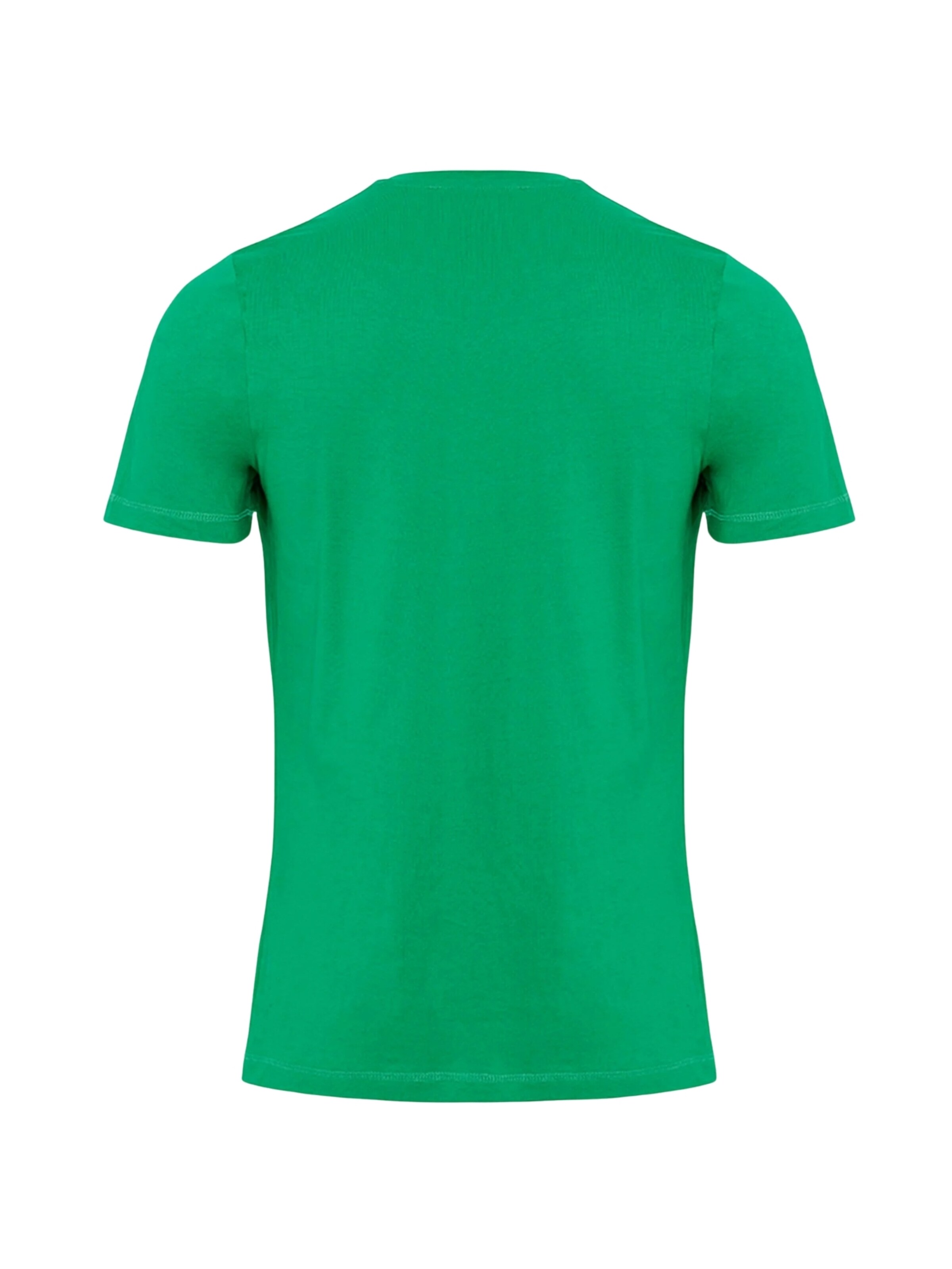 Chemise ' Organic Basic ' TEESHOPPEN en vert : devant