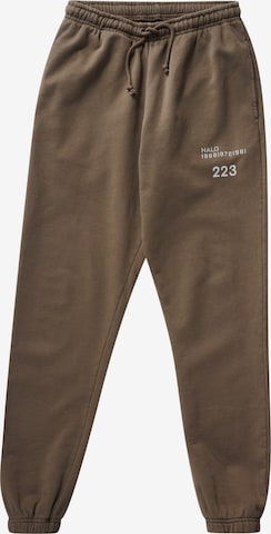 HALO Pants in Braun: predná strana