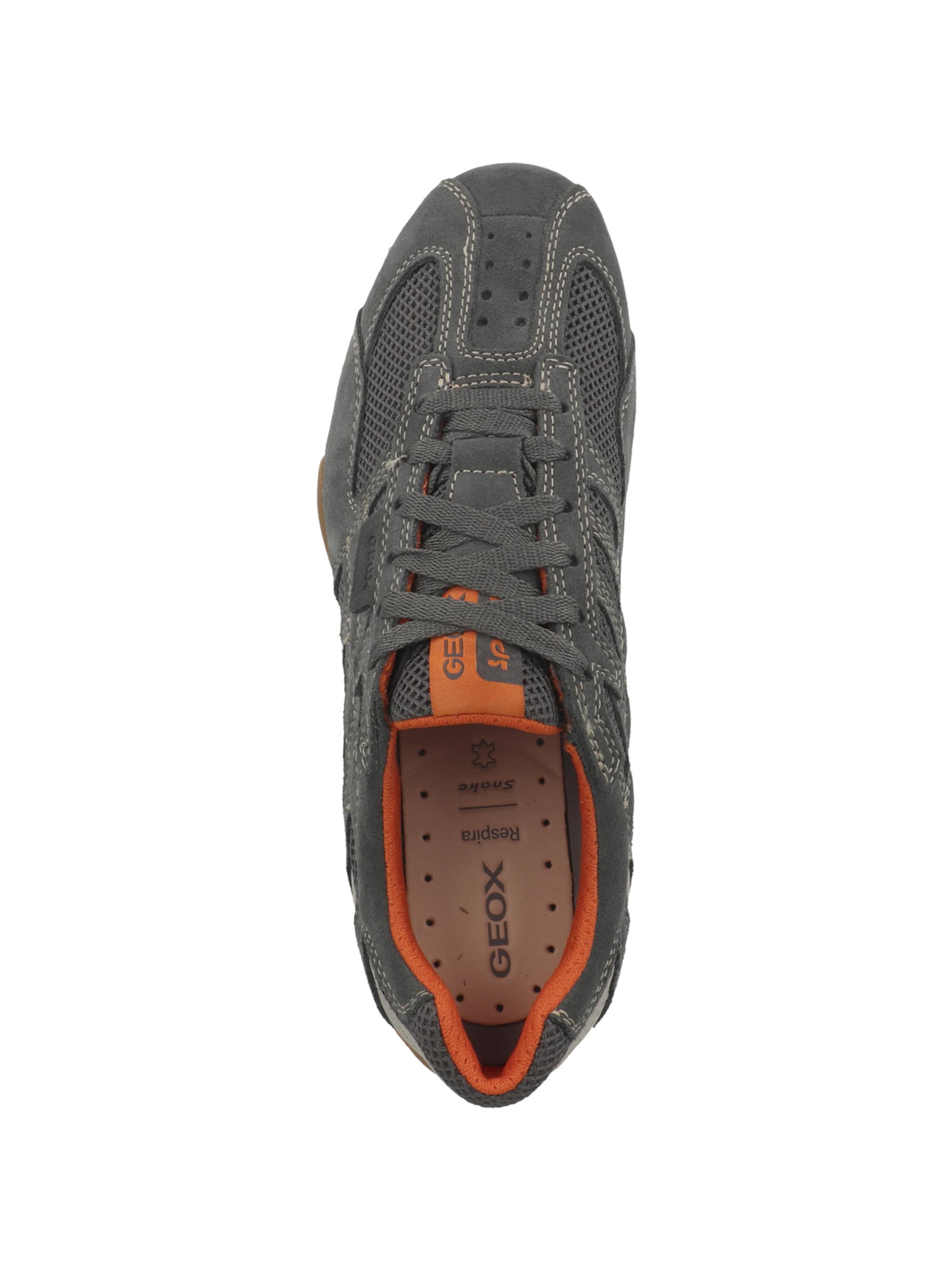 GEOX Низкие кроссовки 'Snake Original' в Серый