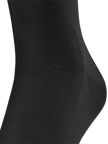 FALKE Knee High Socks 'ClimaWool' in Black
