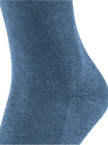 FALKE Socks 'Family' in Blue