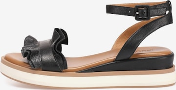 INUOVO Strap Sandals in Black: front