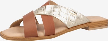 Mule SCAPA en marron : devant