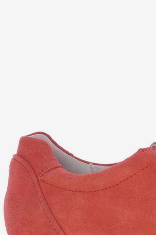 SIOUX Sneakers & Trainers in 38 in Red