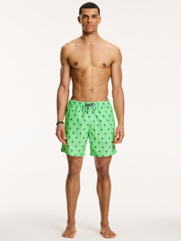 Shiwi Swimming shorts 'PALM' in Green