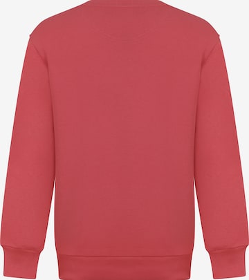 DENIM CULTURE - Sweatshirt 'Felicity' em vermelho