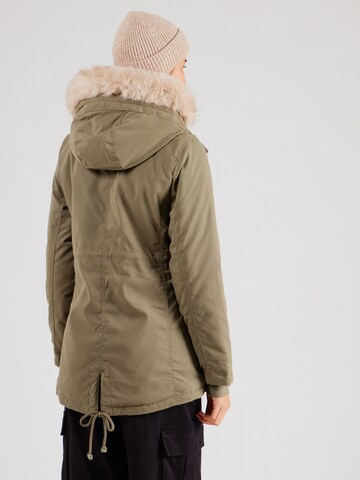 žalia HOLLISTER Žieminė parka
